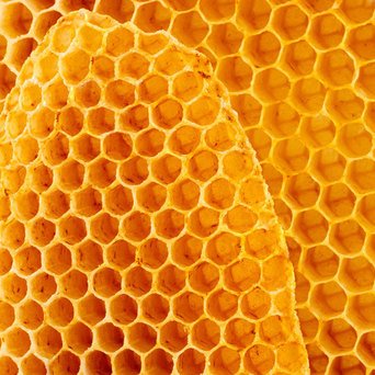 singleingredientsquarebeeswaxhr342x342